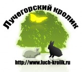 Продажа крольчат элитных мясных пород.